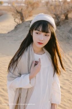少年派电视剧完整版